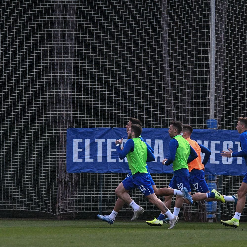 Dynamo get back to work on Friday