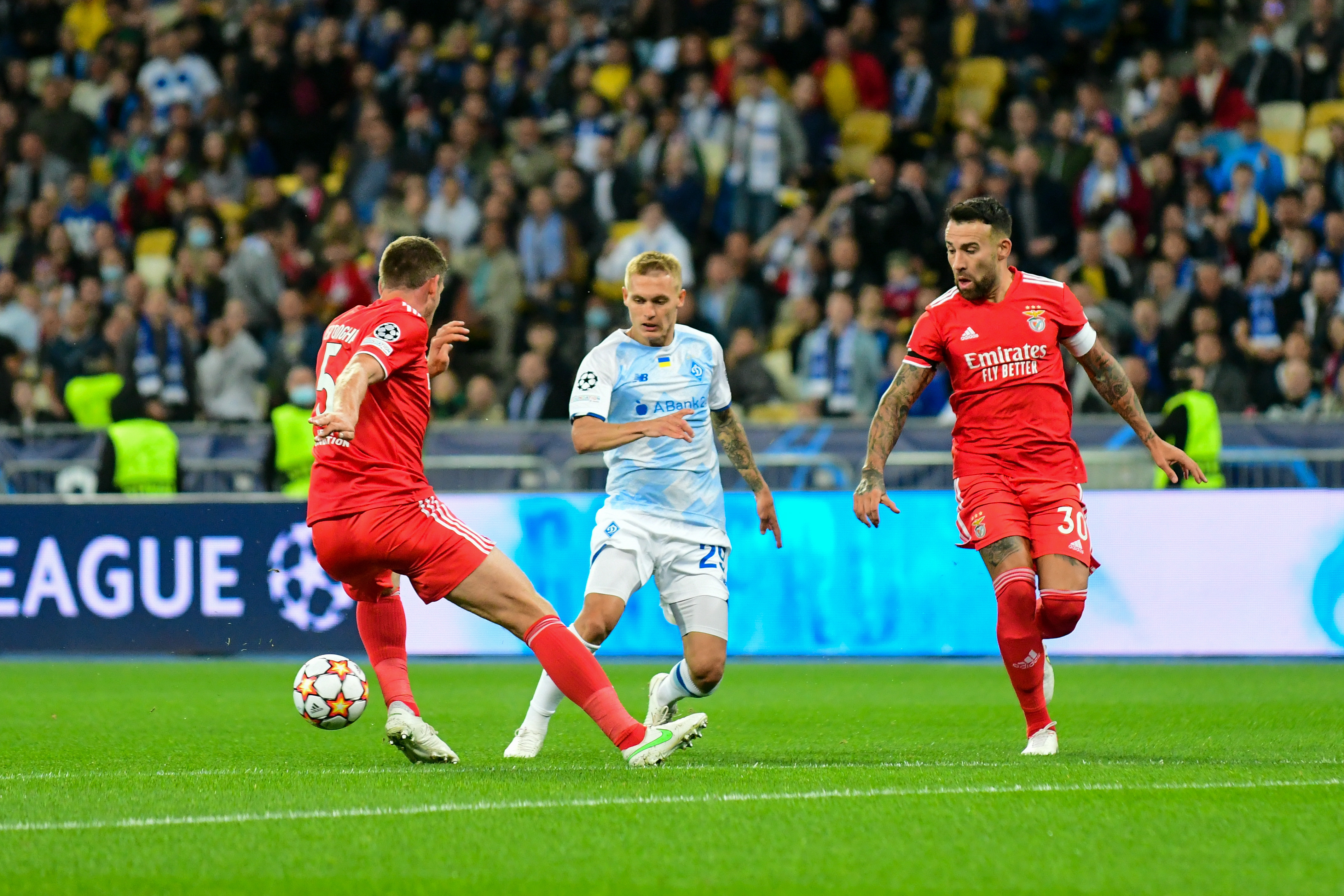 Champions League. Play-off round, first leg. Dynamo – Benfica. Preview