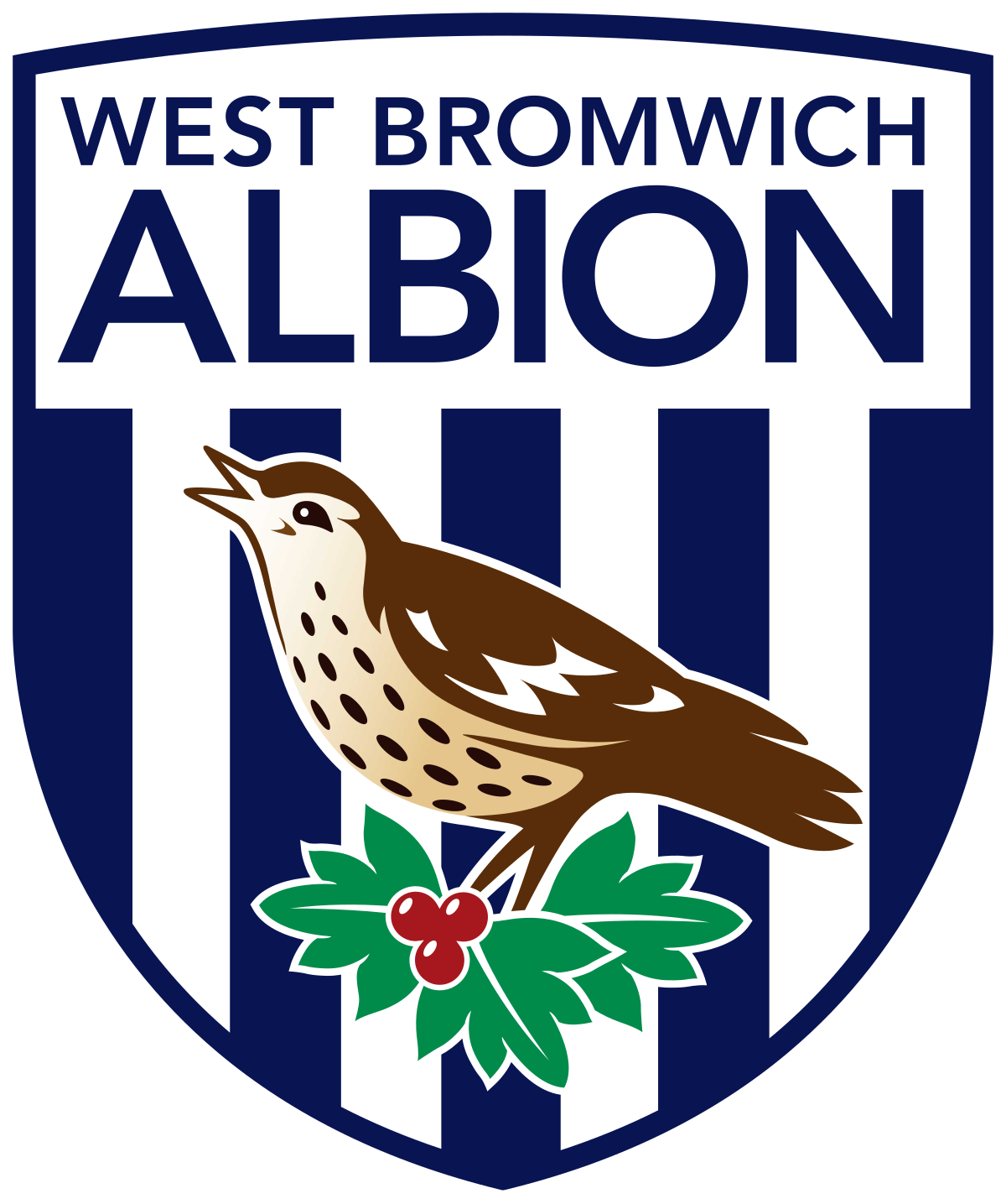 West Bromwich Albion F.C.