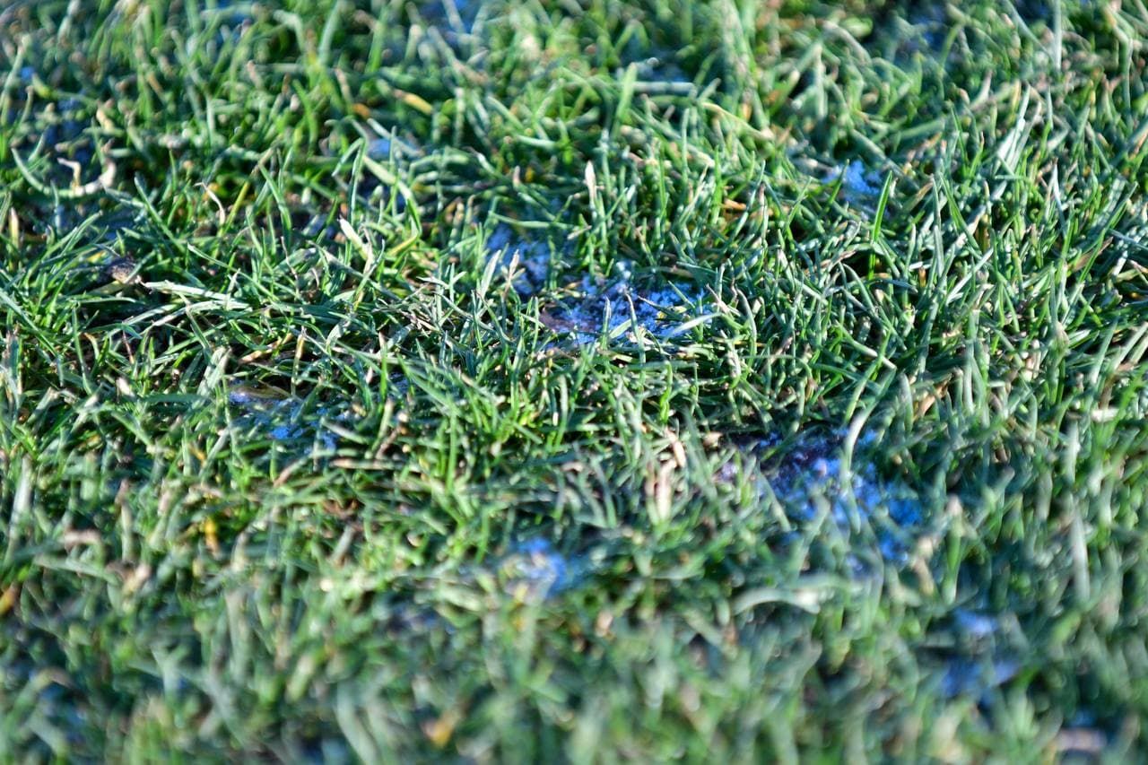 Photo 2021 12 04 13 48 42